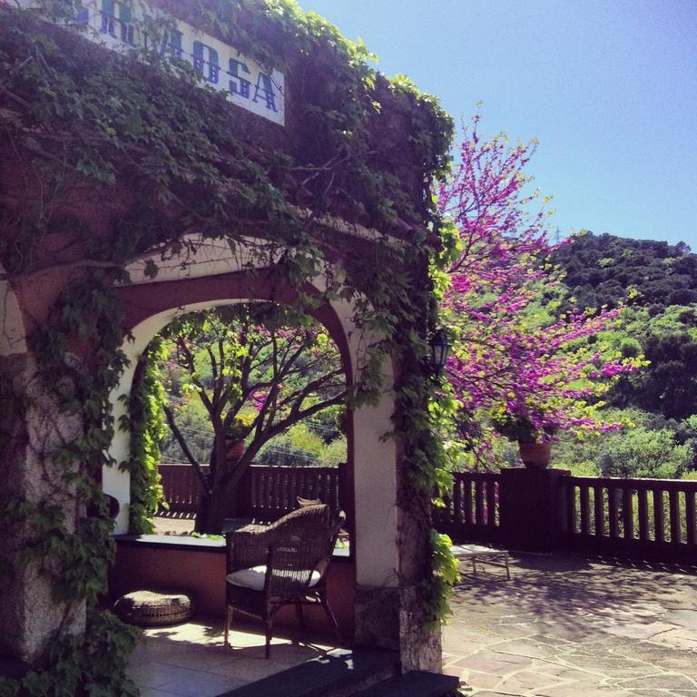 Masia Vista Hermosa ヴァルロマネス エクステリア 写真
