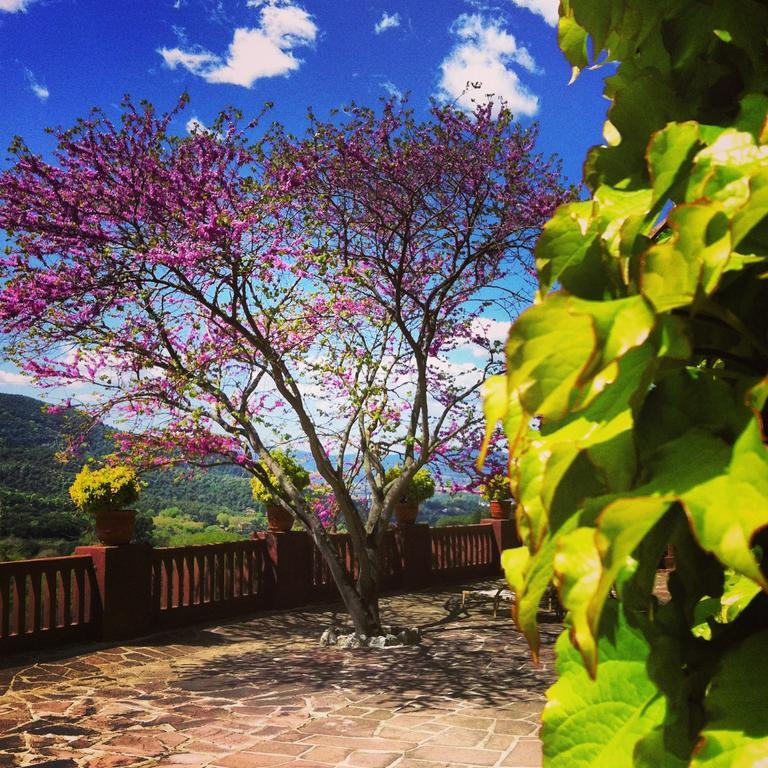 Masia Vista Hermosa ヴァルロマネス エクステリア 写真